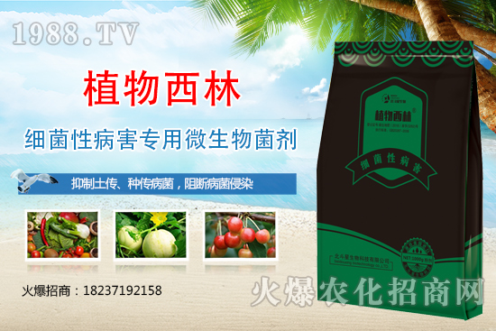 ����̿�Ҳ��Y����ʲô������̿�Ҳ��l(f��)��ԭ�򼰷���