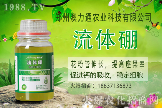 ⛷ʃr����m(x��)���q��2020-10-30����(n��i)⛷ʃr���rһ�[