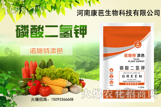 �������￹�����������⛼����������������8����