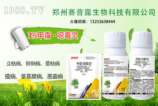 ��ʲô˪ù����⧵����װl(f��)���y���Σ�