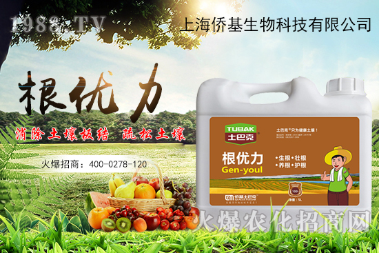 ����������ʲô�����������x������Щ��