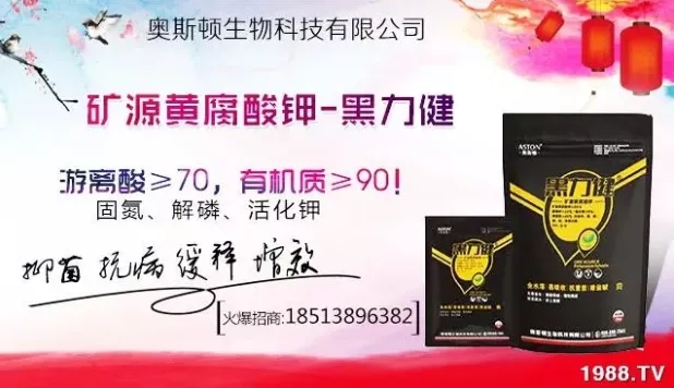 ����ʲô�r�g���N��ע���������Щ�����ش���Nֲ�r�g����