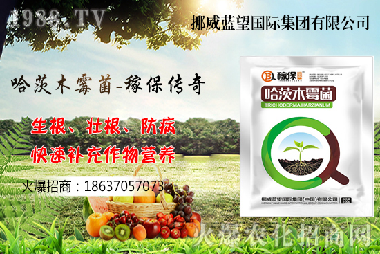 �ի@���С����΃�������С�������P�I�c������