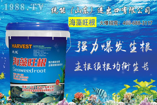 С���r(ji��)��󷶇��ϝq���A(y��)Ӌ(j��)С���r(ji��)��ͻ��1.25Ԫ/��