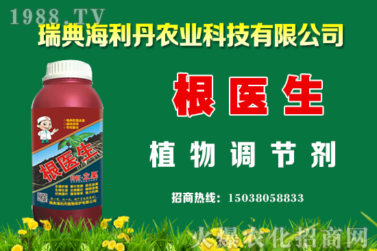 �Ͳ���ô��������߮a(ch��n)�����Ͳ˿���������ʩ����Щ��