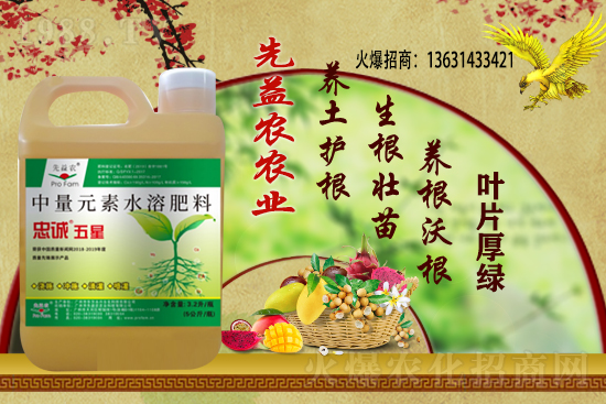 С���r(ji��)������Xһ��������С���r(ji��)��������