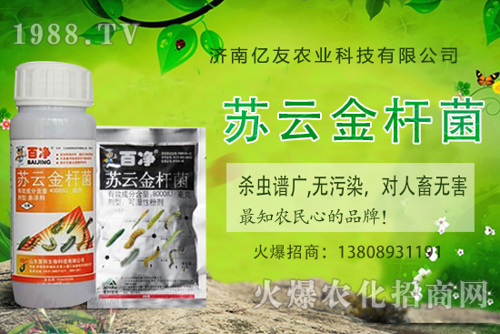 �S�ҷNֲ��(y��ng)ԓע����Щ������S�ҷNֲ�r�g�����g������