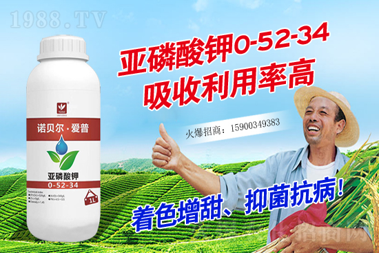 2020��11��18��С���r������