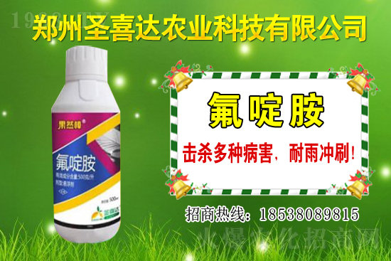 �������N��������Щ���������Ժ�ʲô�����׷N��