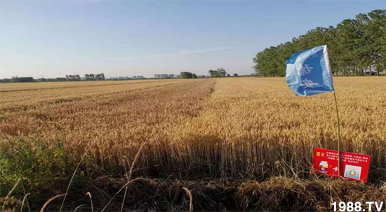 С����ù��Σ�����c������С����ù����ʲôˎ��