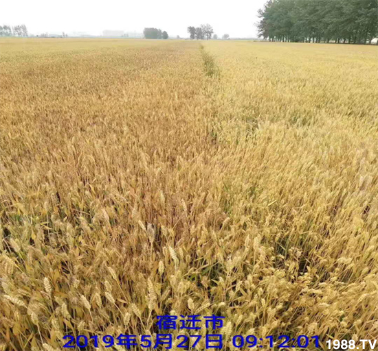 С����ù��Σ�����c������С����ù����ʲôˎ��