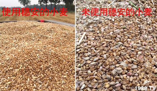 С����ù��Σ�����c������С����ù����ʲôˎ��