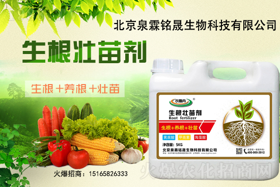 һ���y��2020-11-25�|�����ϝqѸ��