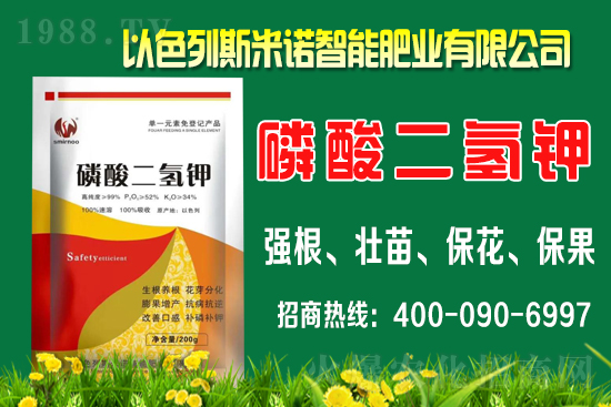 ����ʲô�r(sh��)�gʩ�������ٵ�ʩ�ʕr(sh��)�g��������B��