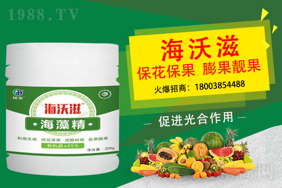 ��ɲ�ݮ��С��ʲô���أ���ô���M��ݮ�������