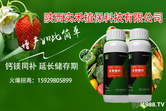 ���t�����~��ʲôԭ�������t�����~���δ�ʩ����Щ��