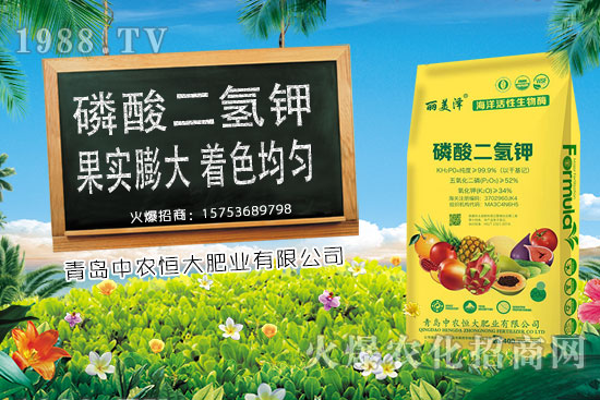 ����С���r(ji��)���ϝq�������Ƿ��(hu��)���m(x��)�ϝq��