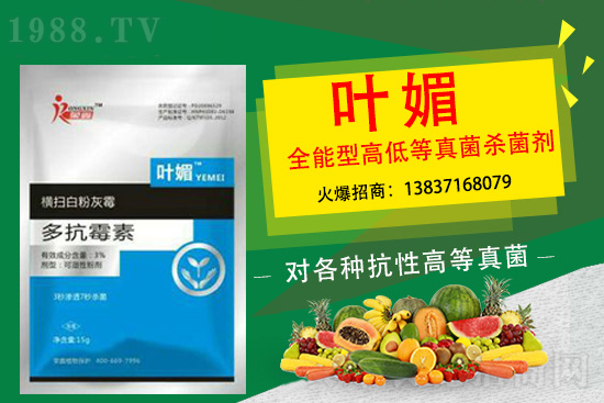 ����������(y��n)��̫�y�p������p�ɽ�Q��