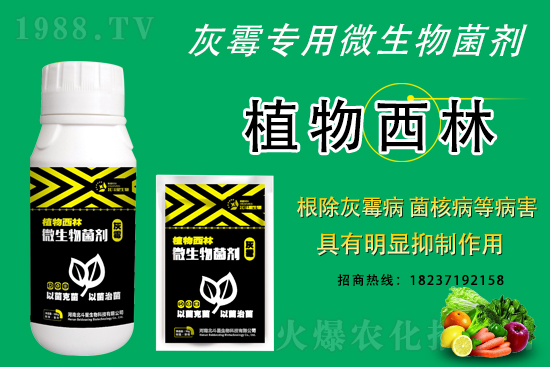 ��ù�������ε�ԭ����ô������Ч������