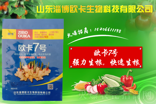 �󽪠����Ӳ���ʲô�����󽪠����Ӳ���ʲôˎ�÷���