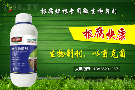 ΢������������θ������᣿��ô�x����