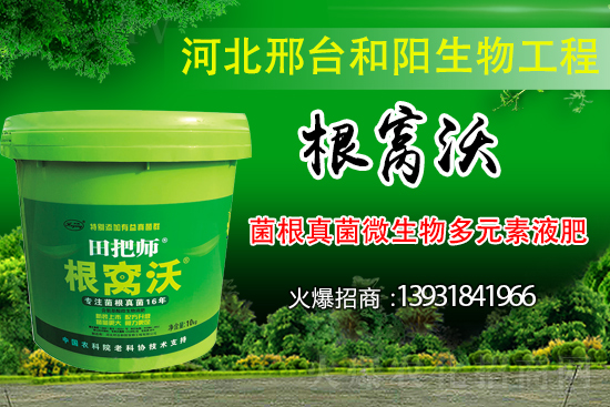 ��Щ��������������������ȡʲô��ʩ���Է�����