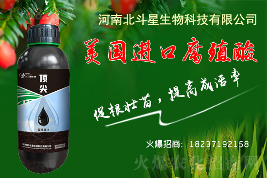 �ؗ͜l���£�����Nֲ��������������B(y��ng)�����o(h��)��