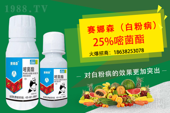 ��ݮ�׷۲����u���p�~��������ݮ�׷۲�Ҫ��η�����