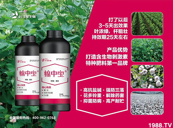 �طN�ʞ�ʲô�@ô����ʲô���c(di��n)֮̎��