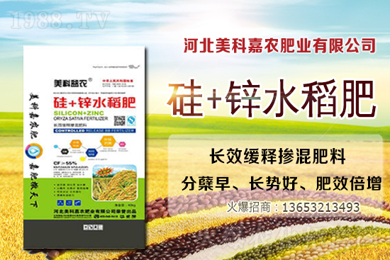 �󶹃r���^�m(x��)�ϝq(�����մ󶹃r��)