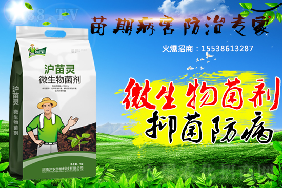 �������ڲ����������������������A(y��)�����������ˆ���