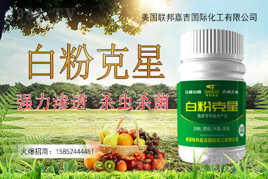 �����׷۲�����y�Է����������׷۲������ˎ����Ч������