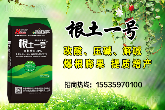     ΢��������е�΢������ʲô������΢�����������θ�����������