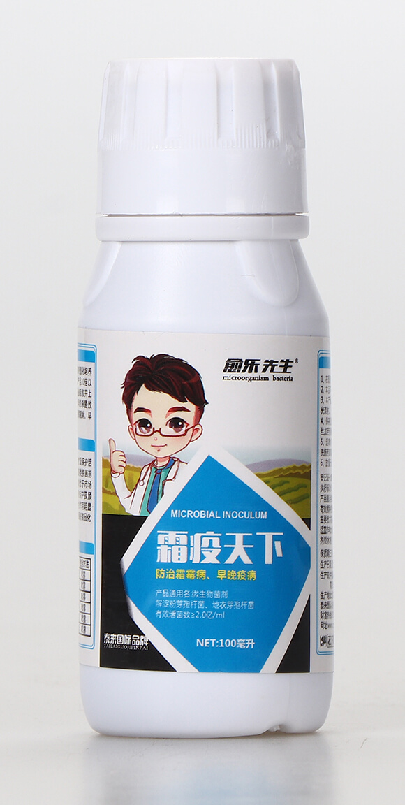 ΢�������-˪������-��������-̩����H1