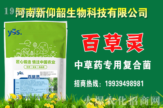 ����С���r��߀���q����2020��12��С���r�����������