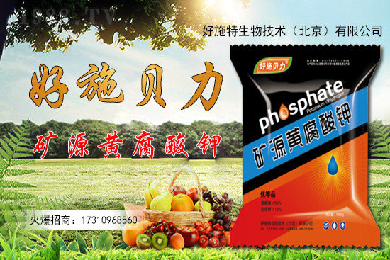 �󽪶����Xһ�����󽪷Nֲǰ����Σ������Nֲ���g(sh��)��