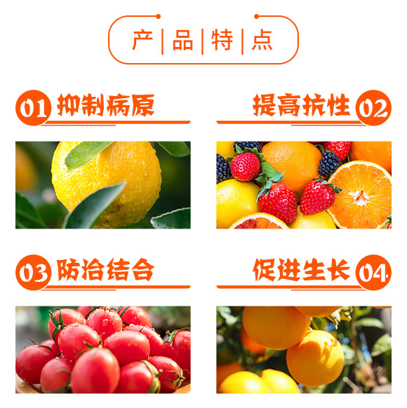 微生物菌劑-潰瘍無憂-日升生物_04