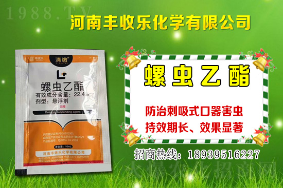 2021���޻��NֲƷ�Nԓ��ô�x���޻��x�NҪע����Щ���}��