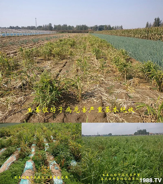     �l(f��)�������a(ch��n)Ʒ������أ�n������ʽ���ؠ����Ӳ����Ñ���������Ч����������