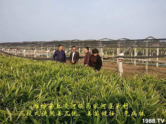     �l(f��)�������a(ch��n)Ʒ������أ�n������ʽ���ؠ����Ӳ����Ñ���������Ч����������