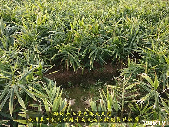     �l(f��)�������a(ch��n)Ʒ������أ�n������ʽ���ؠ����Ӳ����Ñ���������Ч����������