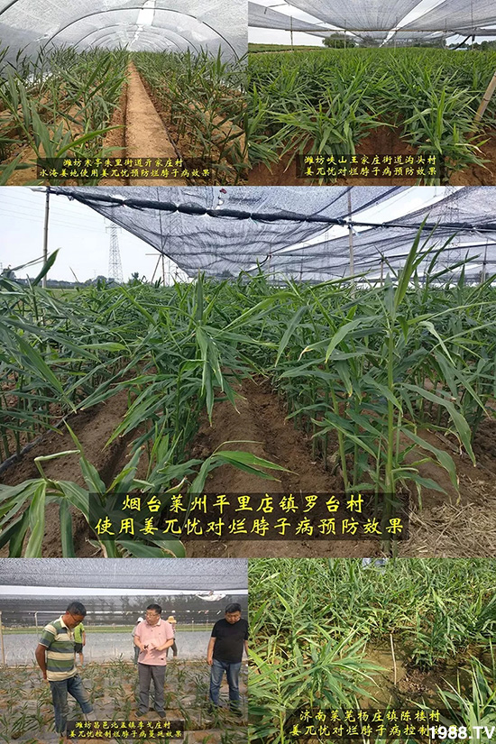     �l(f��)�������a(ch��n)Ʒ������أ�n������ʽ���ؠ����Ӳ����Ñ���������Ч����������