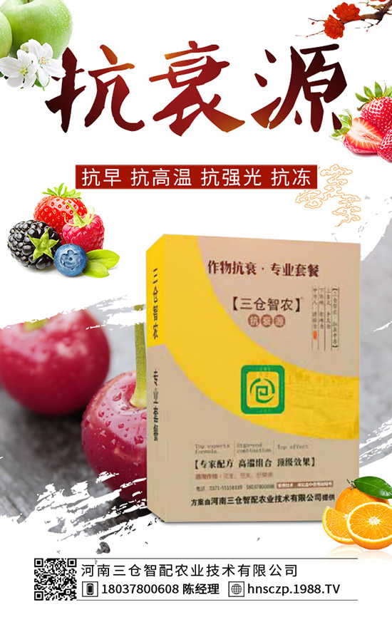 ���·��m�ϷNֲʲô�߲������·��߲˷Nֲע�������