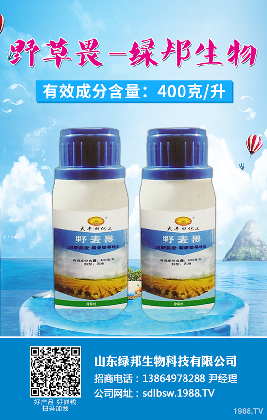 �O�����݄��r(ji��)��