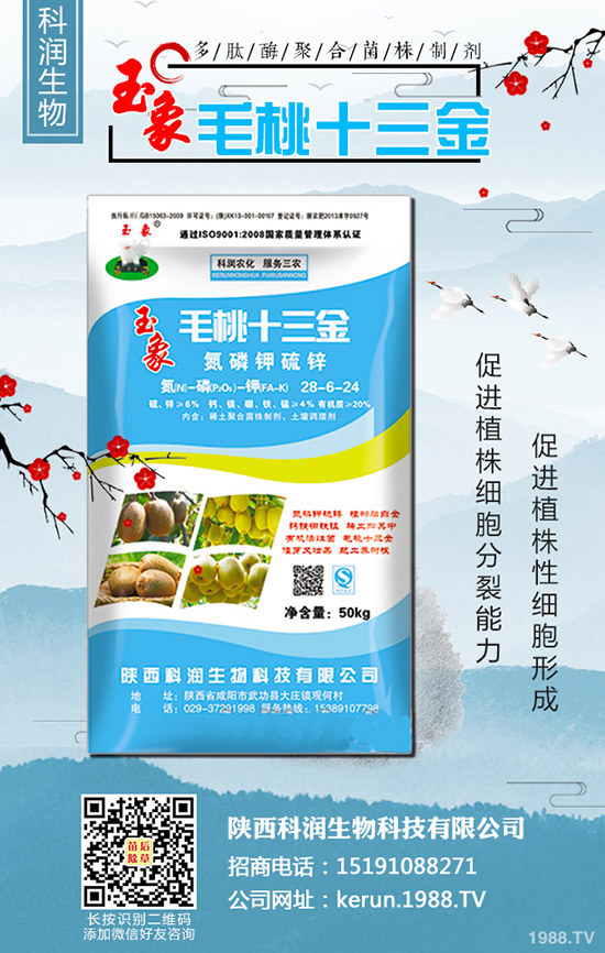     ���裺�����B�m(x��)�q�r�����L�U��᣿2020-3-13��������r��