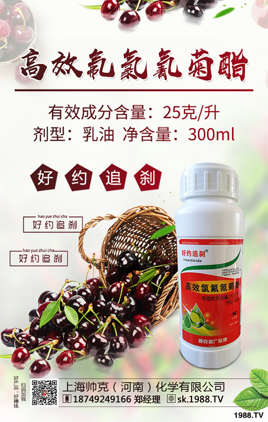 �˶����x���r��