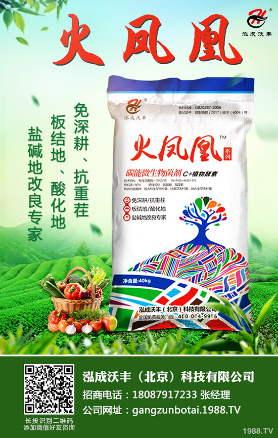 ��Ҋ�������ɺ��x����Щ���������ɺ��x���������