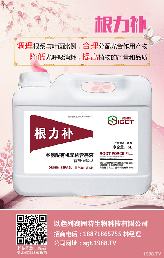 С��������Ҋ(ji��n)�Ĳ�������Щ��ԓ��η���������С���������η�����B