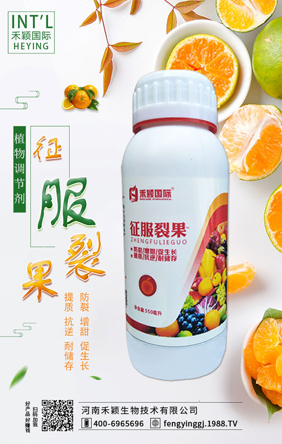 ����ʲô�r�g�m���ԷN�����ٷ�ˮ��������Щ��