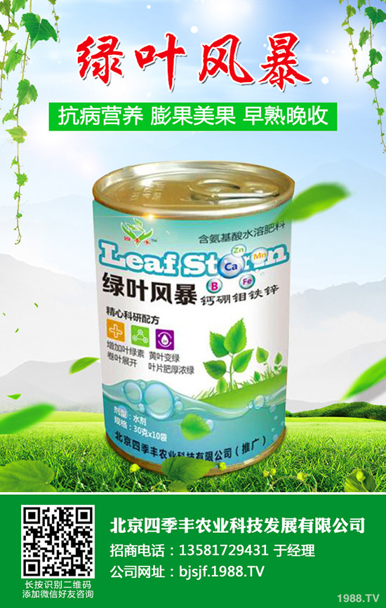 �����׷۲�����y�����������׷۲��l(f��)��ԭ�򼰷�����